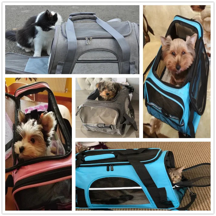 PetPod Pro™ Travel Bag